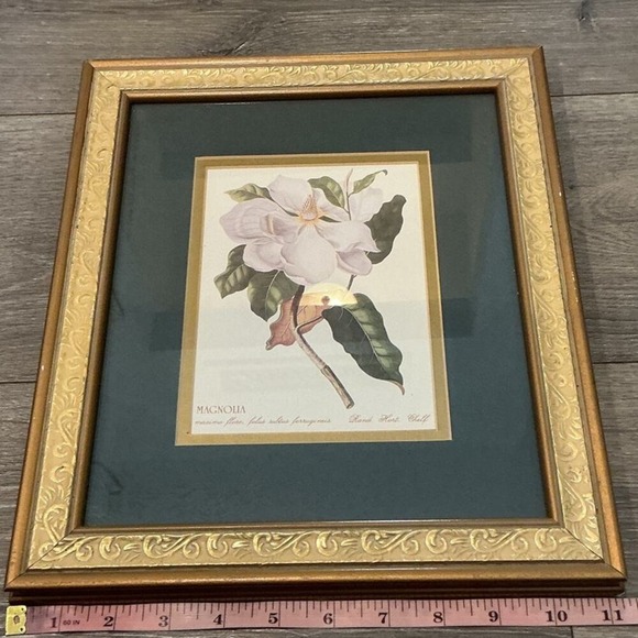 Unbranded Other - Magnolia Botanical Art Print Gold Framed Floral Decor Farmhouse Heritage Country